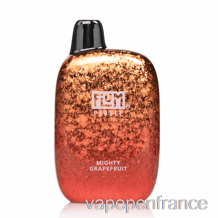 Flum Pebble 6000 Stylo Vape Puissant Jetable Pamplemousse